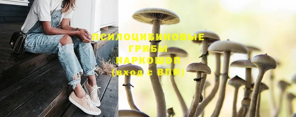 ешки Бугульма