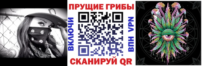 Галлюциногенные грибы Psilocybe  где найти наркотики  Поворино 